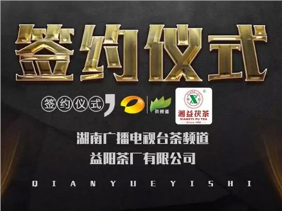 湘益茯，美茗揚(yáng) 丨湘益茯茶與茶頻道達(dá)成長(zhǎng)期戰(zhàn)略合作